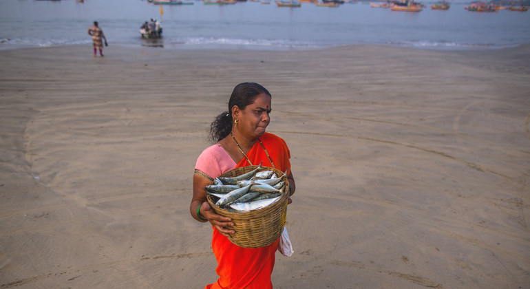 As consumption rises, here’s why sustainable fisheries management matters | UN News – SDGs