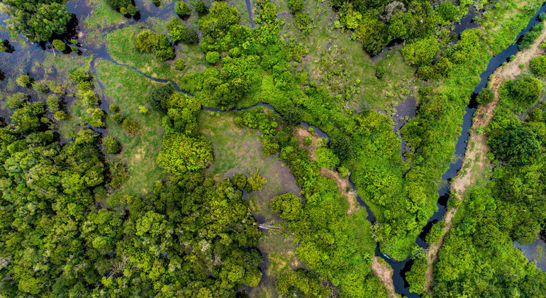 Guterres renews zero-emissions appeal to avoid falling into climate abyss | UN News – SDGs