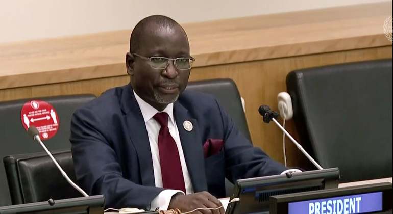 New ECOSOC President aims to maximize ‘reach, relevance and impact’ | UN News – SDGs