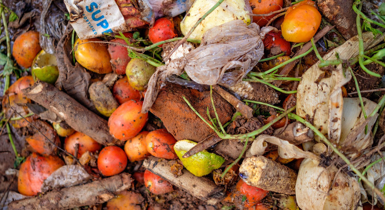 Food waste: a global problem that undermines healthy diets | UN News – SDGs